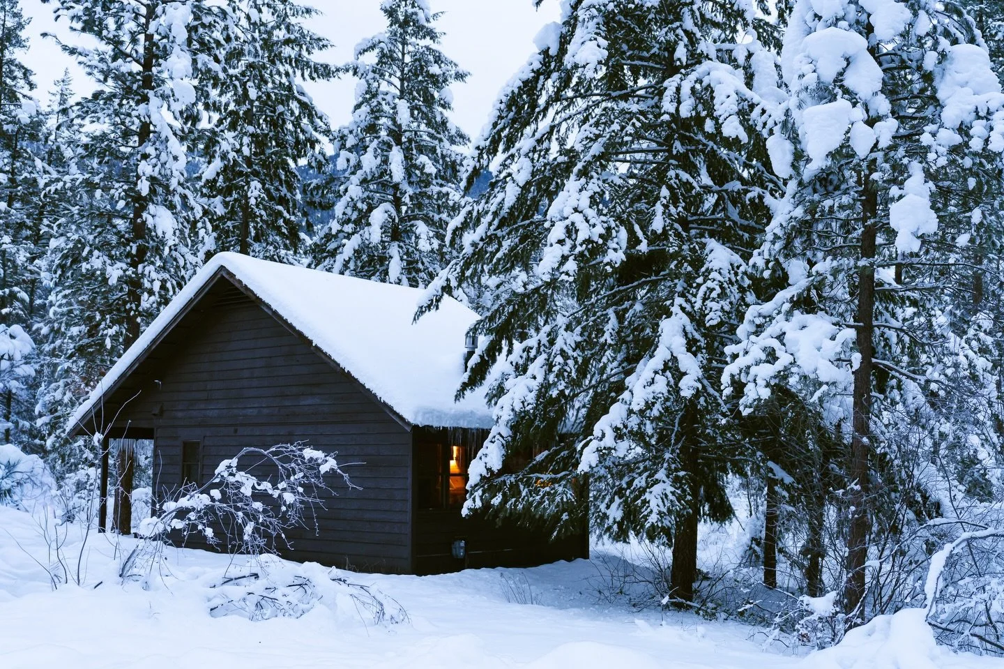 It has become my tradition to photograph the sunrise on the dawn of the New Year. When I woke this morning, stuffy from a head cold, I peeked out the window to take in the deep grey skies. With not a hint of sun in sight, I spotted this scene instead