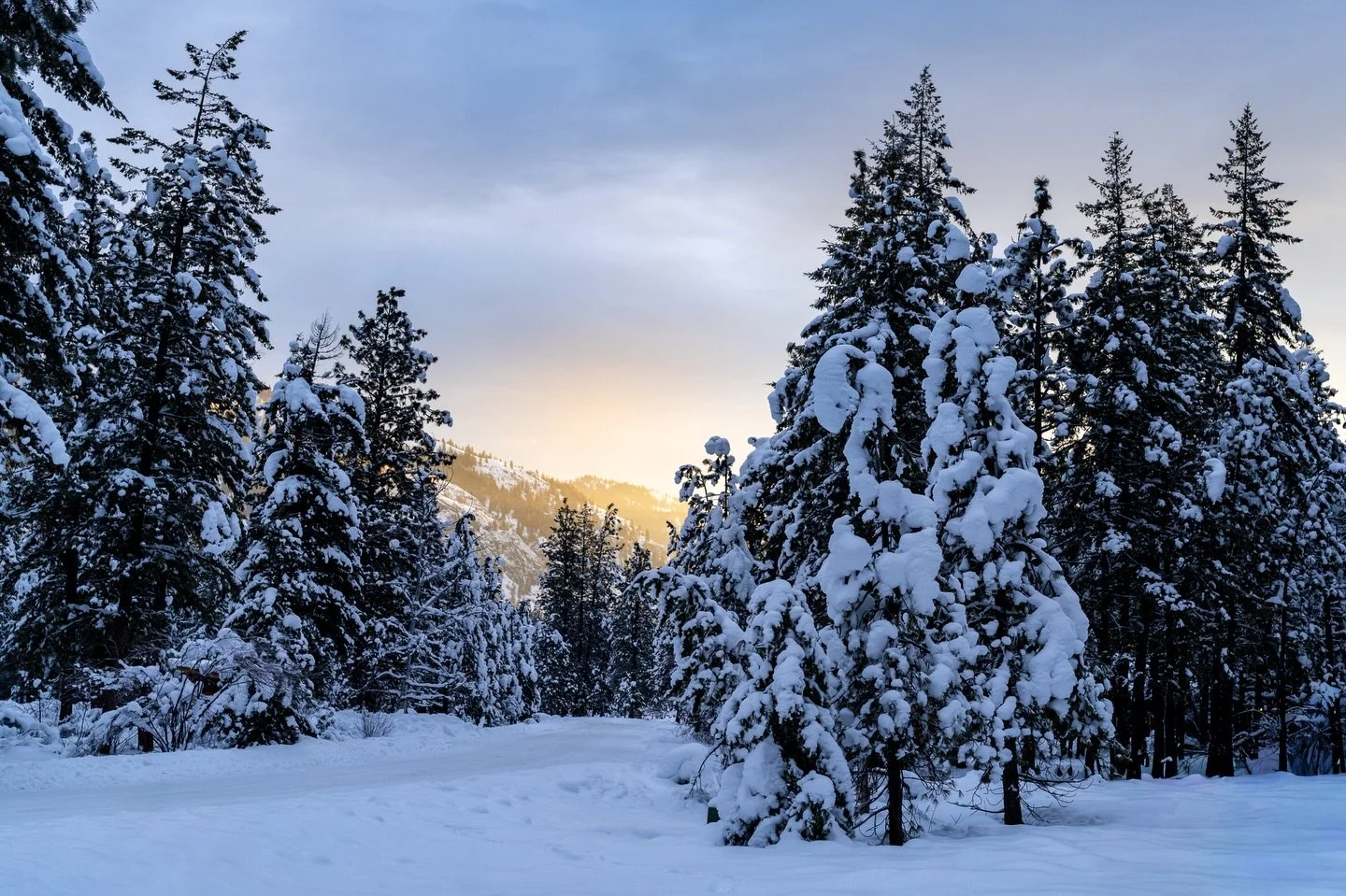 If only every walk to the trash can offered this sunrise view ⛅️