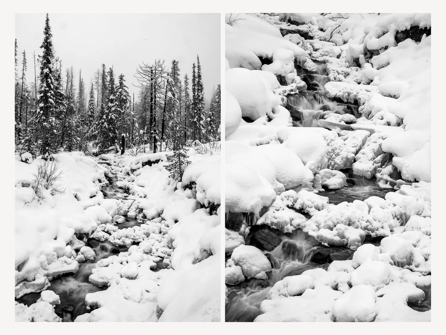 Chasing the edge of winter. We drove up to the North Cascades Highway closure today. The mountain peaks were hidden behind deep clouds, but the roadside waterfall at Vernon Creek was out in full force. PNW mood: 10/10 ❄️☁️🌲