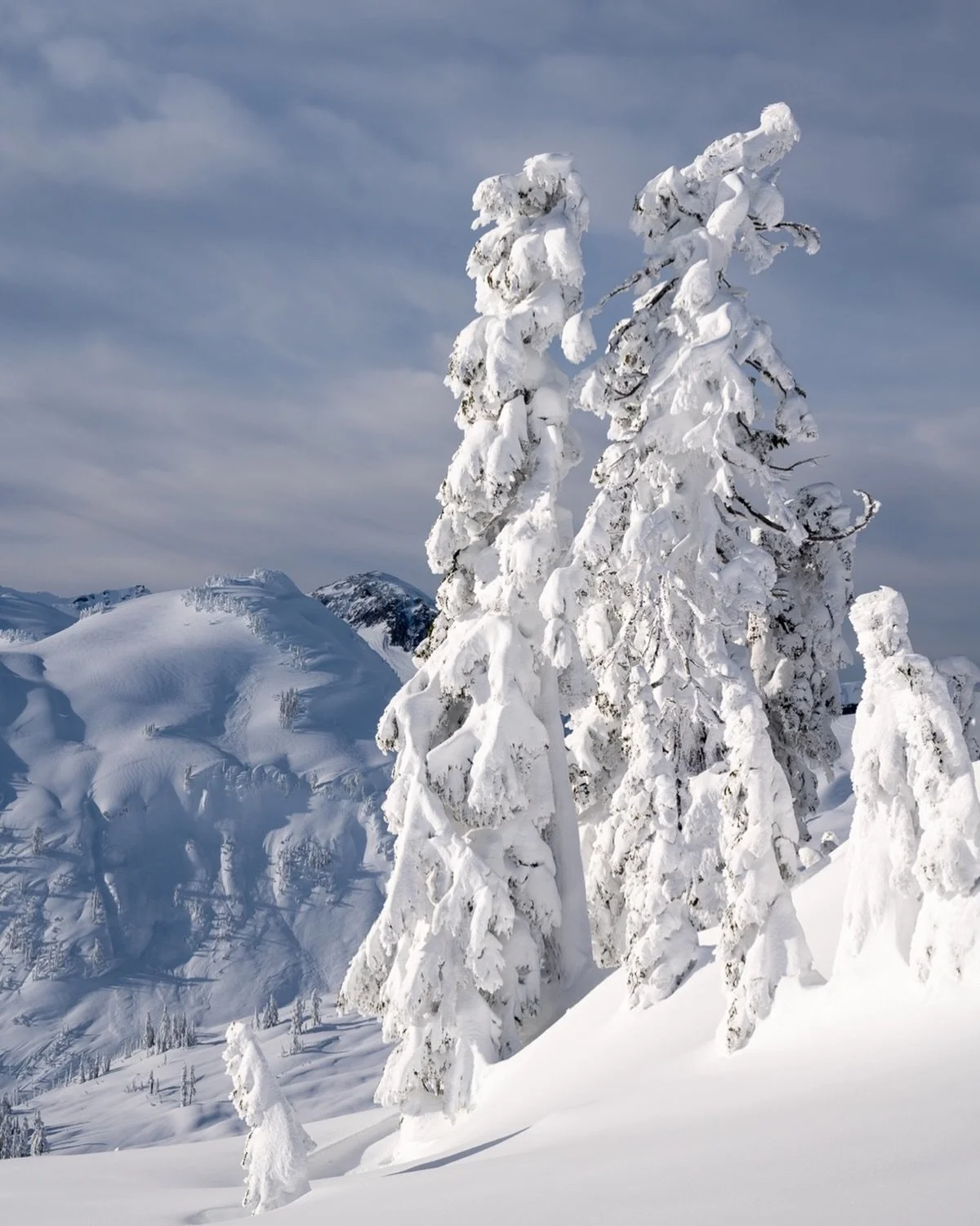 Snow sculptures ❄️

It&rsquo;s week 3 of @theclickcommunity p52 weekly shooting project.  This week&rsquo;s theme is the conceptual constraint &ldquo;Bare Minimum.&rdquo; Join in and show us how you interpret the theme!