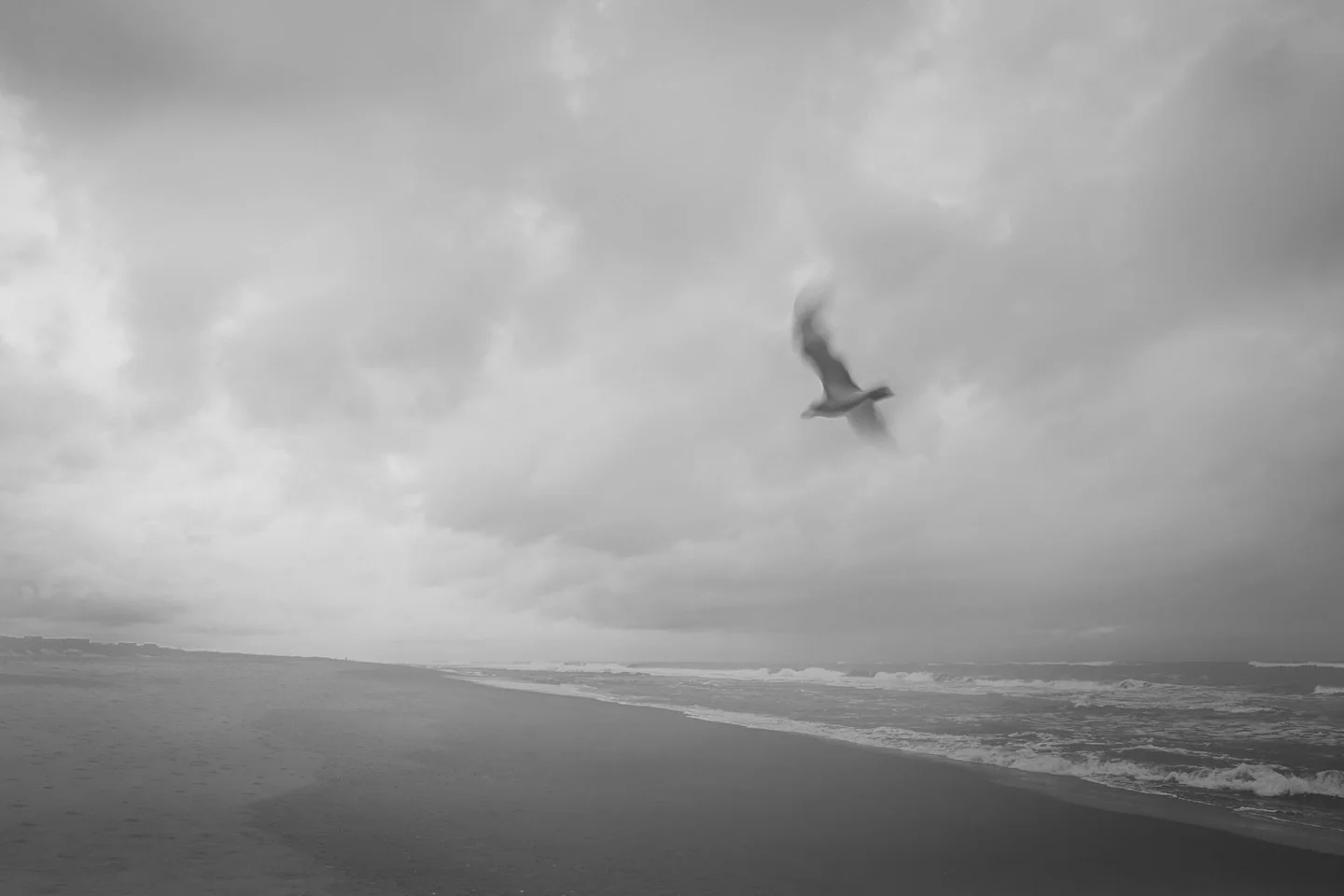 Some days, the world doesn&rsquo;t speak; it whispers. It&rsquo;s in those quiet moments that the camera becomes more than just a tool.  It becomes an extension of the heart.

In my updated ebook, When the World Whispers, I invite you to pause.  It&r