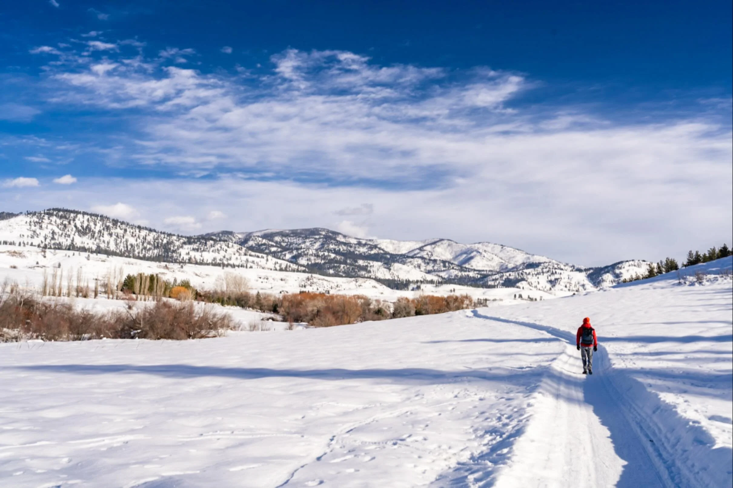 Snowy trails, afternoon shadows and blue skies 💙 The loudest sound is the crunch of the snow under our boots, crisp and firm from sunshine warmth mixed with freezing temperatures.  The air is so cold that it smells frozen- do you know the smell?  Li