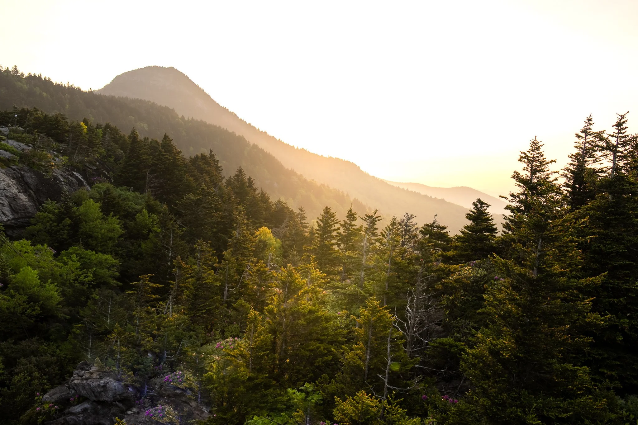Nature Photography Weekend at Grandfather Mountain