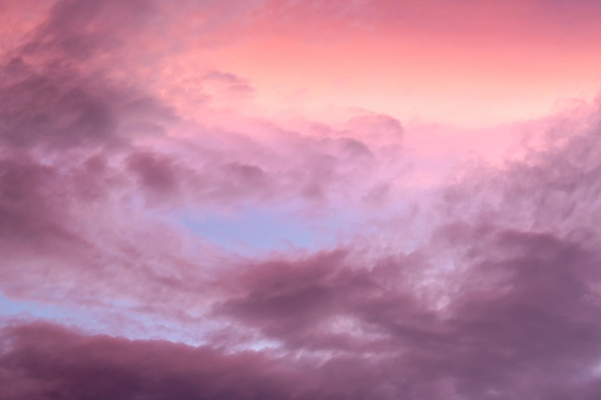 Visual Pauses: The Start of Summer