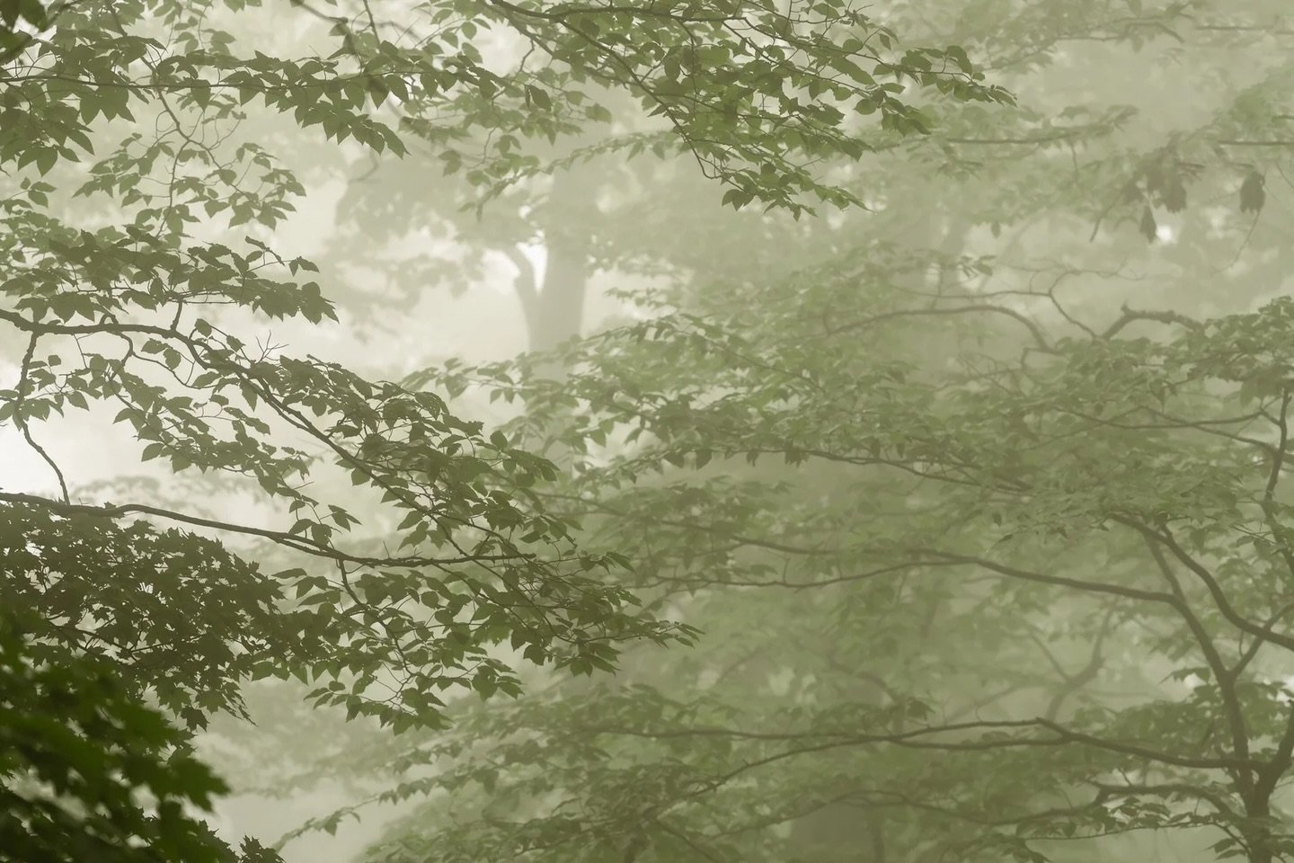 Whenever I feel &ldquo;stuck in a rut,&rdquo; I like to dig into my archives and linger over photos long forgotten.  It reminds me that moments which seem ordinary may be a future reminder of an extraordinary memory.