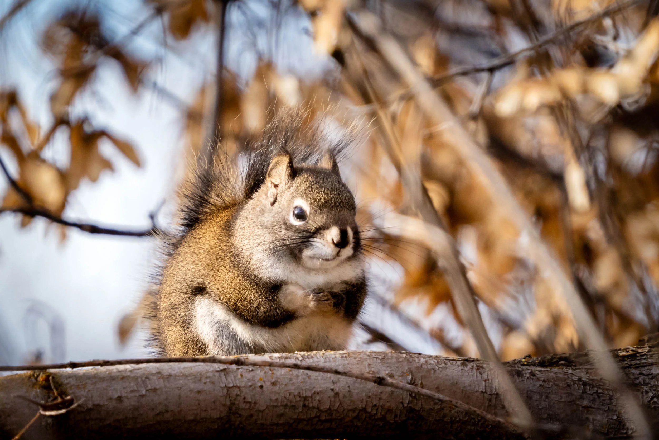 Hidden Winter Delights at Pearrygin Lake