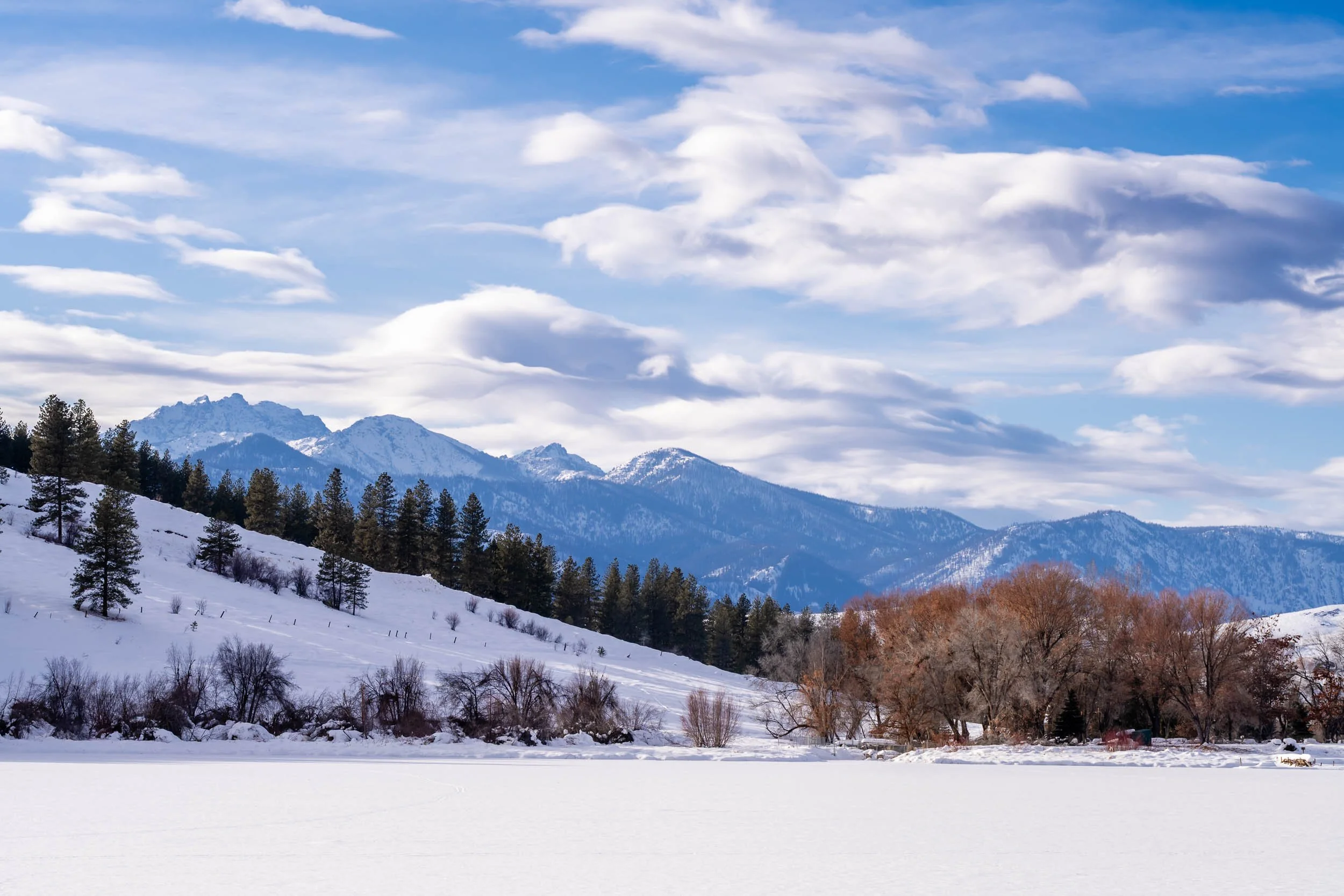 A Winter Hike in Five Senses 