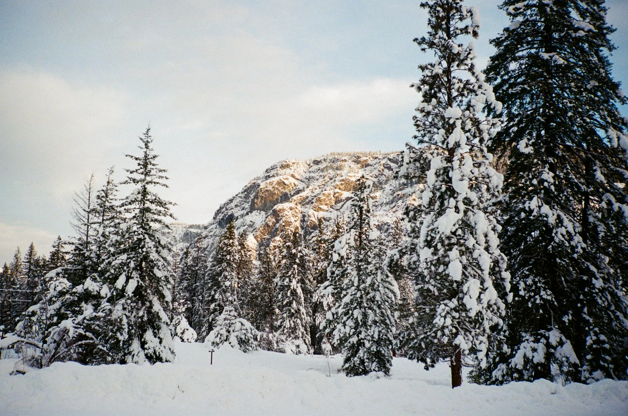 12 Months on Film: December — Post Christmas Ski on the Contax T2