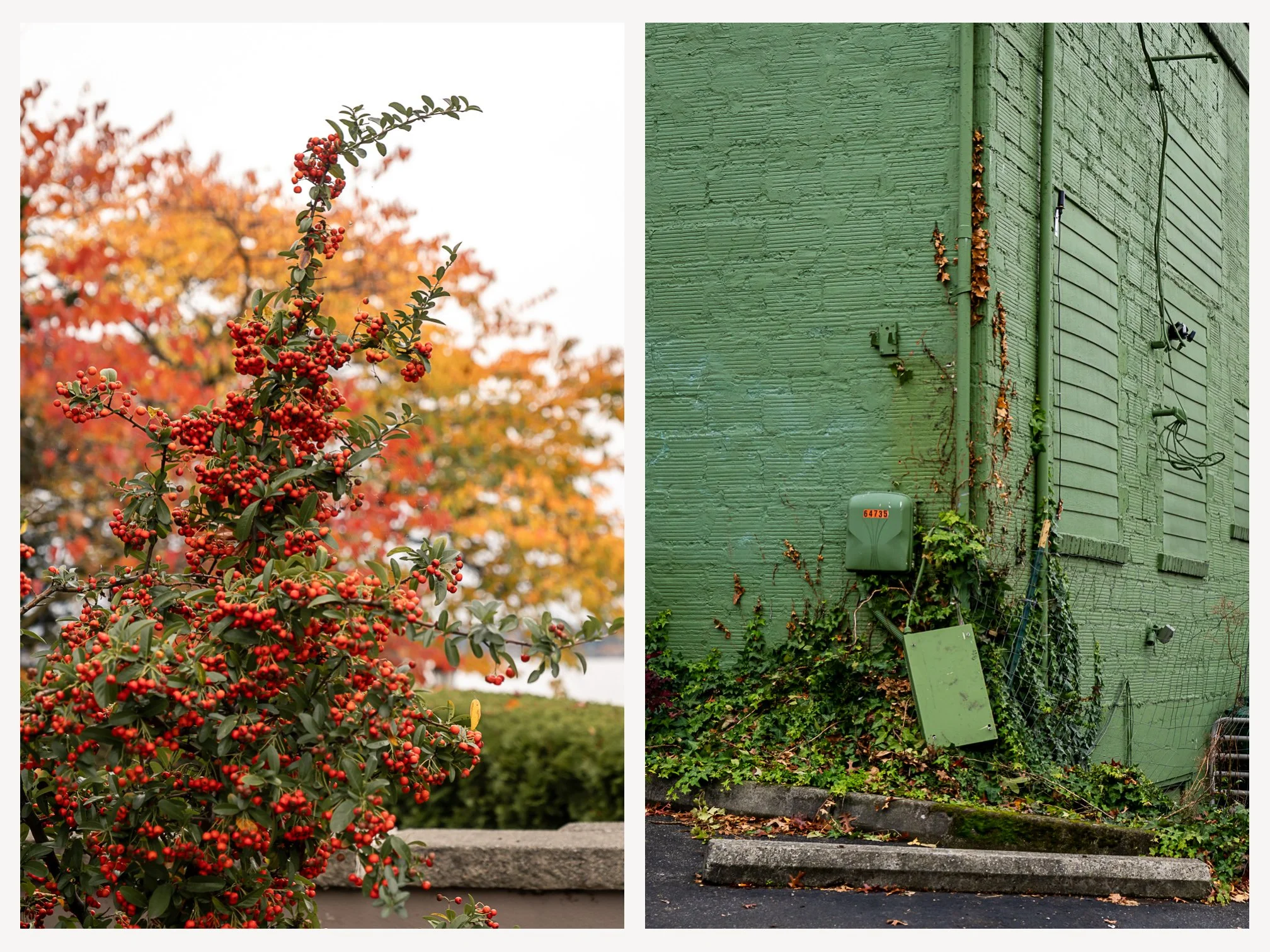 Reminders of Respite- A Photo Walk at the Kirkland Waterfront