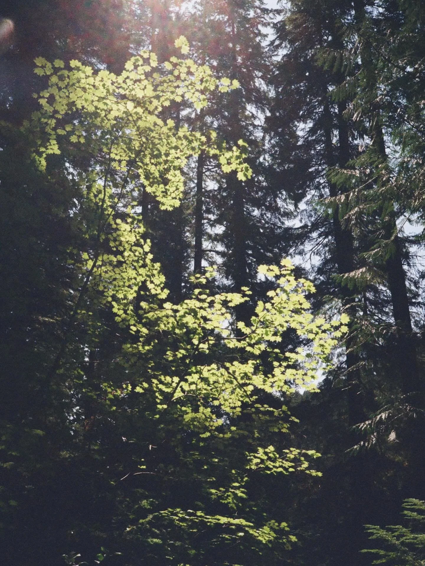 Lately, I&rsquo;ve been thinking a lot about inspiration and motivation.  It&rsquo;s easy to be inspired when you&rsquo;re traveling or exploring epic locations, vacay mode dialed in.  It&rsquo;s less easy when you&rsquo;re folding the laundry, prepp