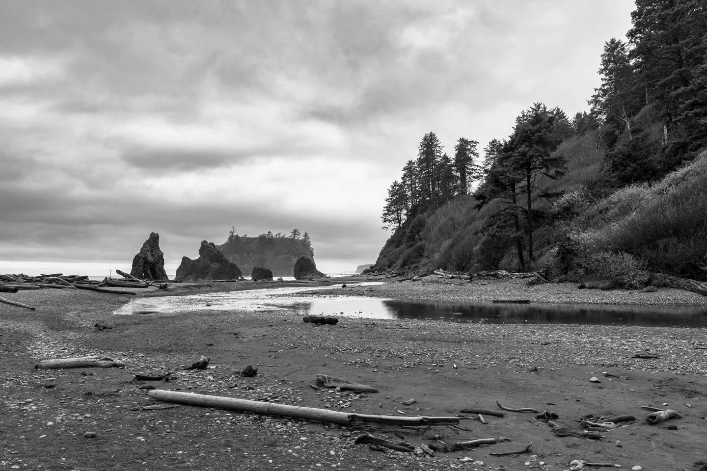 On day two of my drive south, I spent the early morning at Ruby Beach, focusing on intentional black and white compositions of the sea stacks and the way the creek meets the tide. 

After that, the day was full of miles, stopping to stretch my legs a