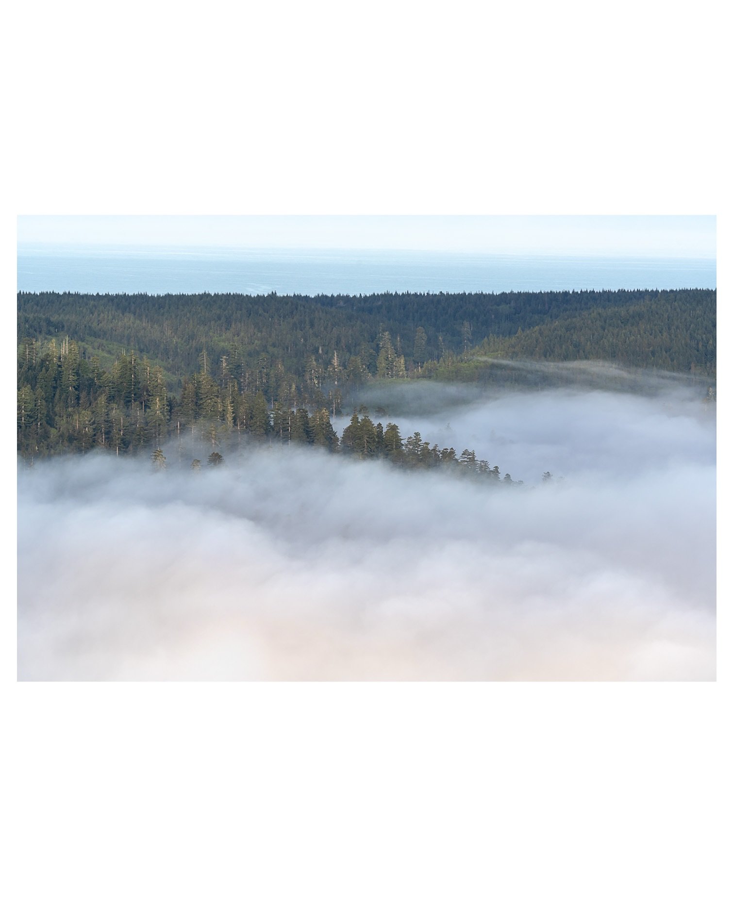 Finally getting back to sharing the final few stops of my relocation road trip.  Day 4 started with a blanket of fog over the redwoods and ended with a spectacular sunset over the coast of Mendocino.  In between, I wandered under the towering giants,