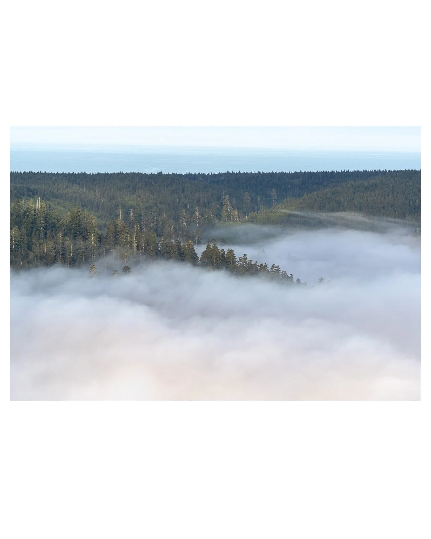 Finally getting back to sharing the final few stops of my relocation road trip.  Day 4 started with a blanket of fog over the redwoods and ended with a spectacular sunset over the coast of Mendocino.  In between, I wandered under the towering giants,