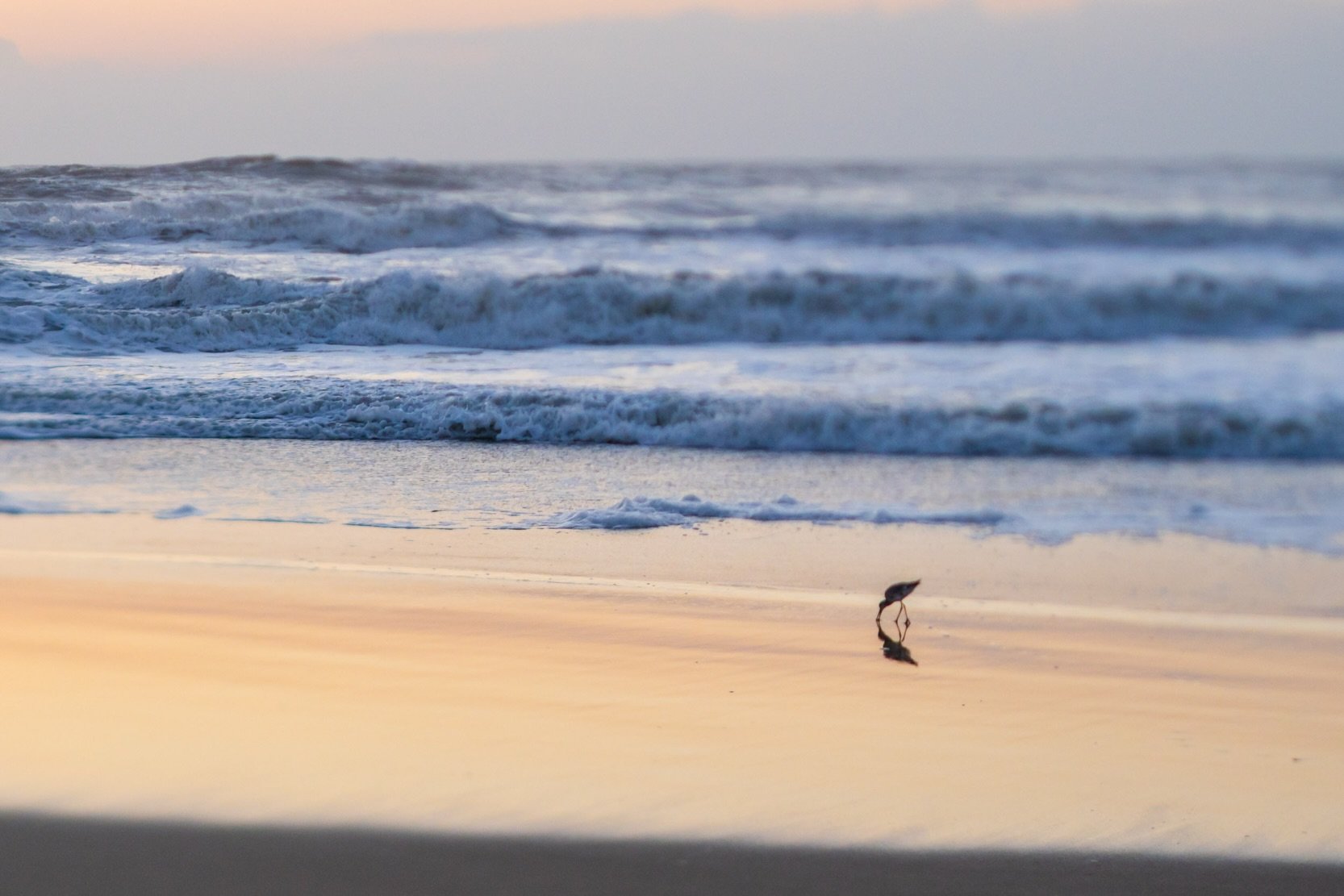 The Saltwater Retreat is shifting. 🌊

This year, the experience is no longer just a 5-night getaway on the coast. It is a three-month immersive journey designed to completely transform your photography, beginning this July.

Registration for our Oct