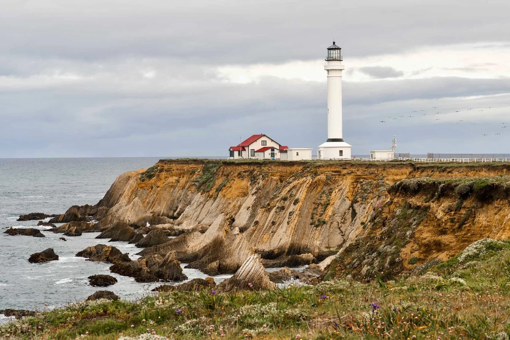 The highlight of the final day of the relocation road trip was a stop at the Point Arena Lighthouse on the shores of Mendocino County.  I blasted one of my favorite Willie songs at full volume as I made the drive to see this 156 year old light statio