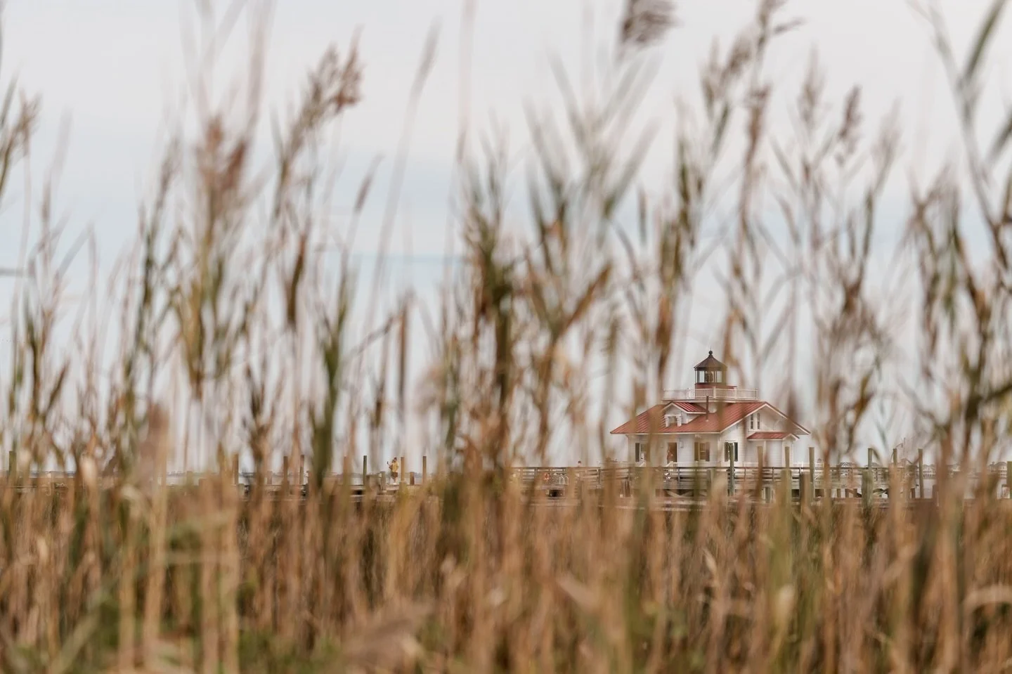 Finding unique compositions 

#thesaltwaterretreat #photographyretreat #manteo #roanokemarsheslighthouse #outerbanks