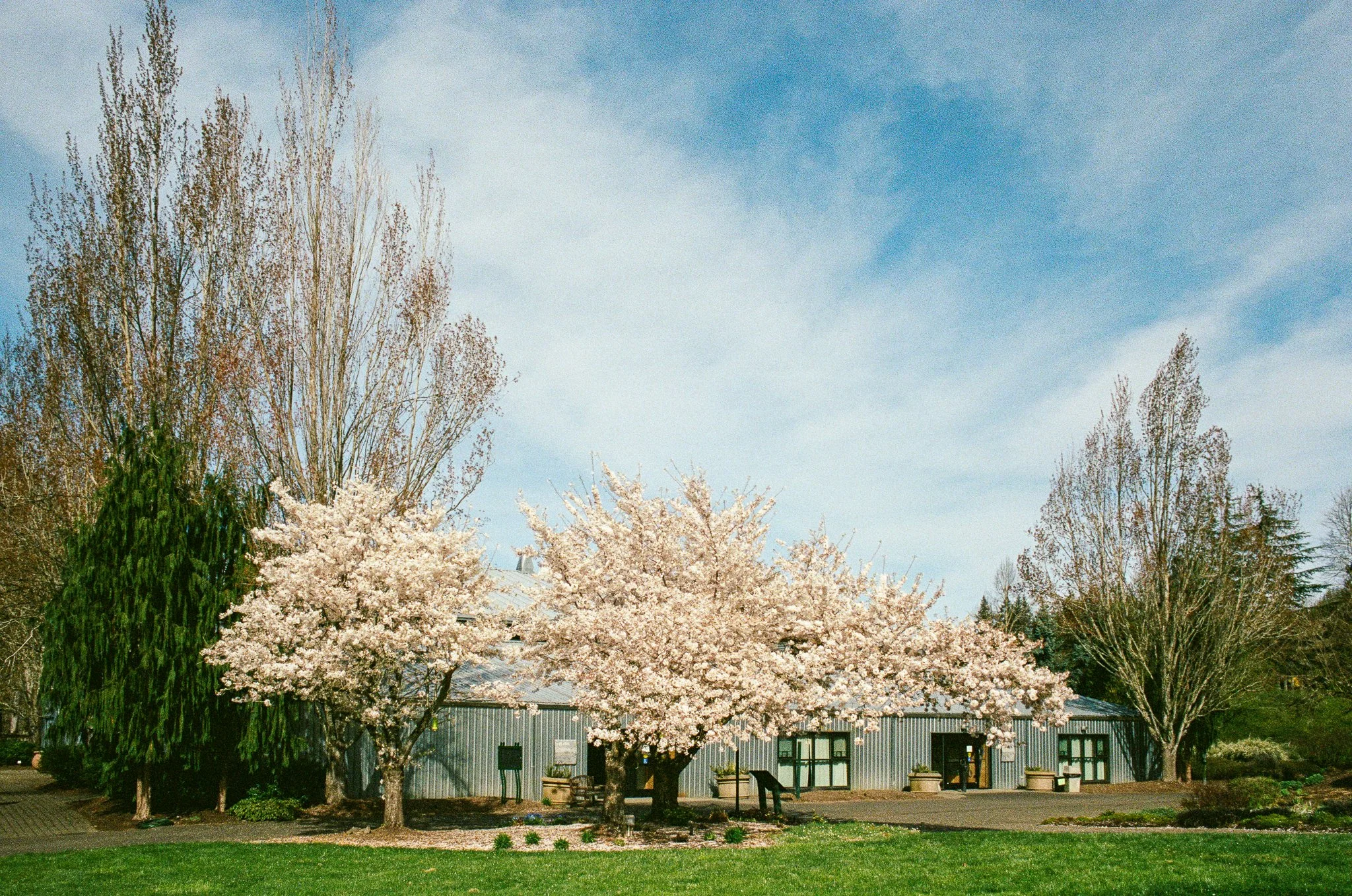 Oregon Gardens on Film-3.jpg