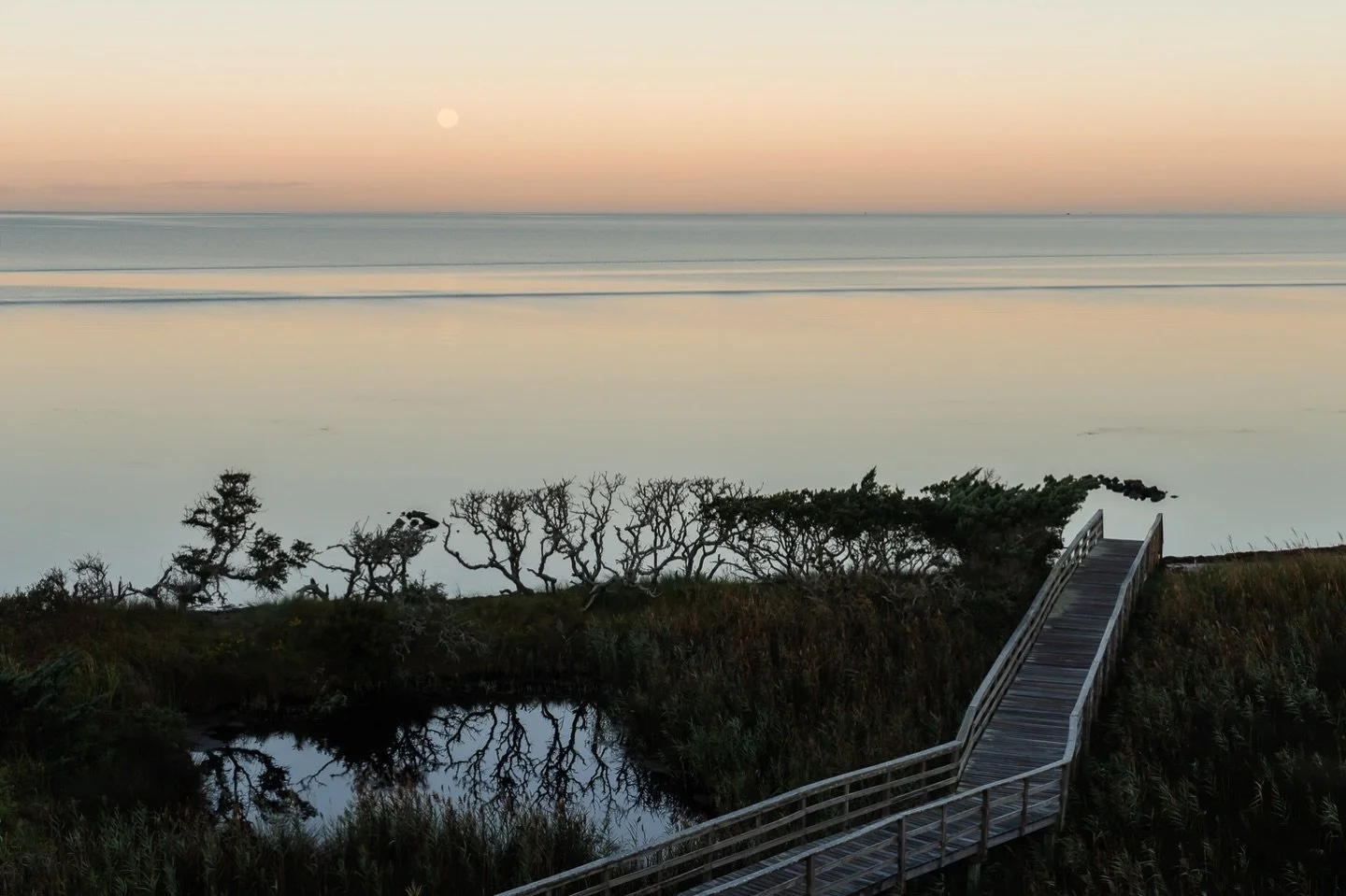 Moonset Magic 🌕

#thesaltwaterretreat #photographyretreat #moonset #capehatterasnationalseashore #outerbanks