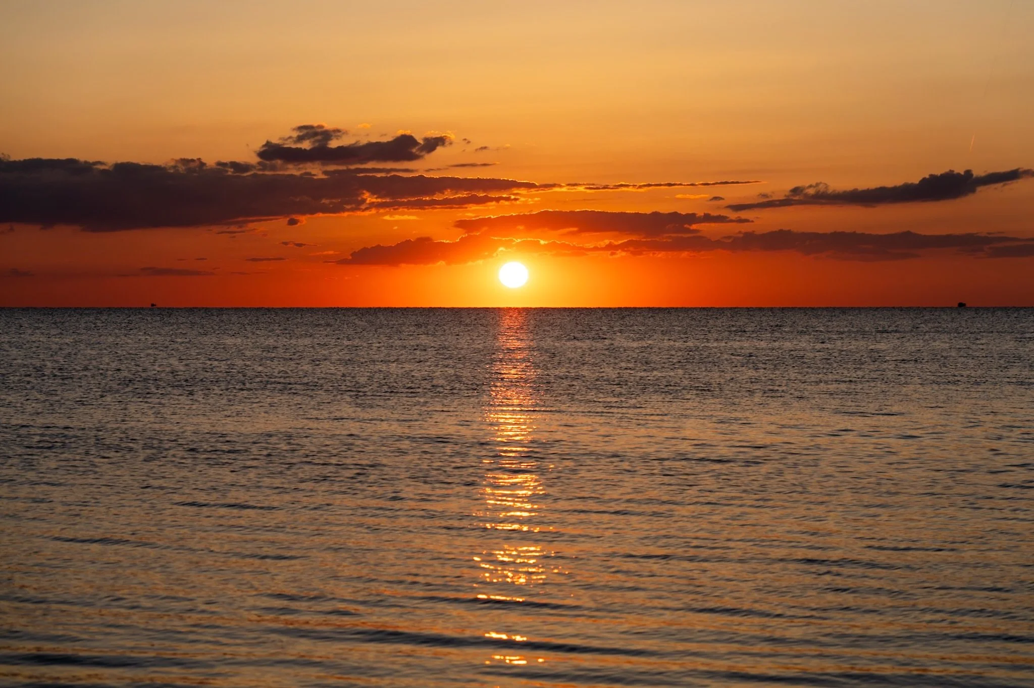 And just like that, the sun sets on our &ldquo;spring&rdquo; east coast trip.  It was a much too short, whirlwind few weeks spent with our favorite people. We laughed more laughs, surfed more waves, and ate more tuna than ever.  Counting down until t