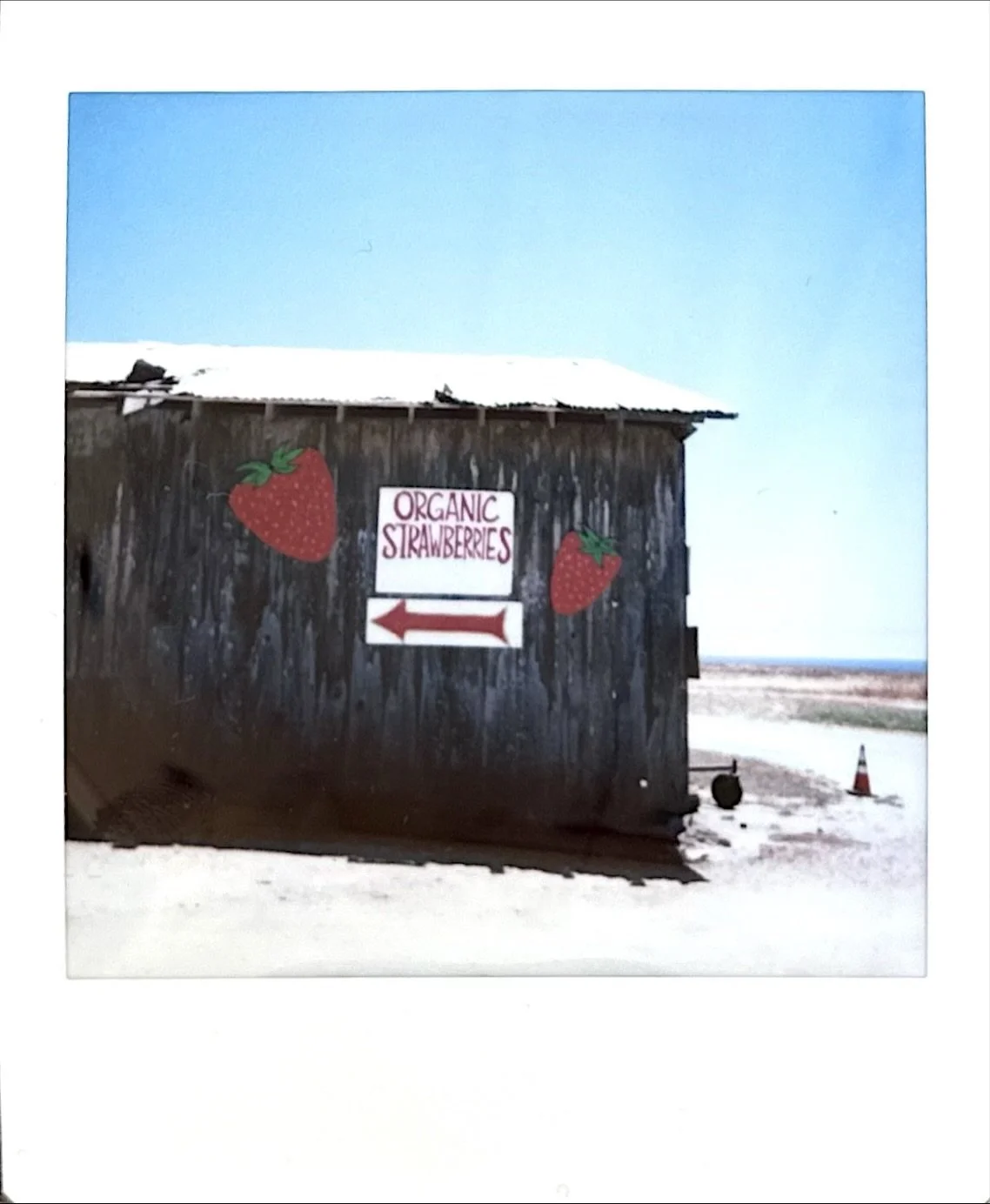 🍓 pickin&rsquo; on the Instax SQ6

#instantphotography #analogsummer #dontjusttakegive #instax #fujifilm
