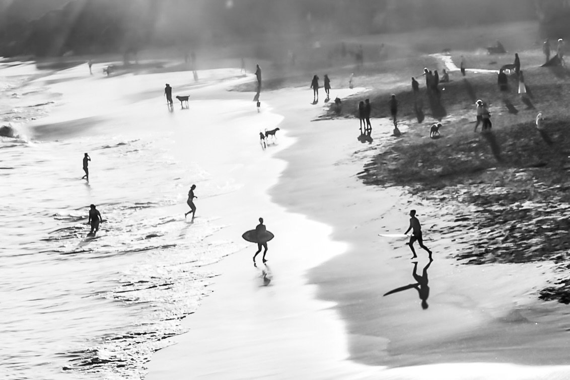 Santa Cruz shore in shadows 🖤

#sonyalpha #blackandwhite #santacruz #sunset