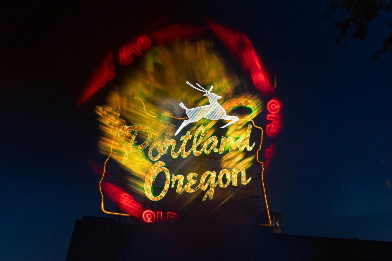 Playing reindeer games under the Portland sky 🦌

Photographing the illuminated White Stag sign was top of my list for this trip. I captured the iconic shot, then used a tiny homemade kaleidoscope from @achengphotos to make the stag jump across the s