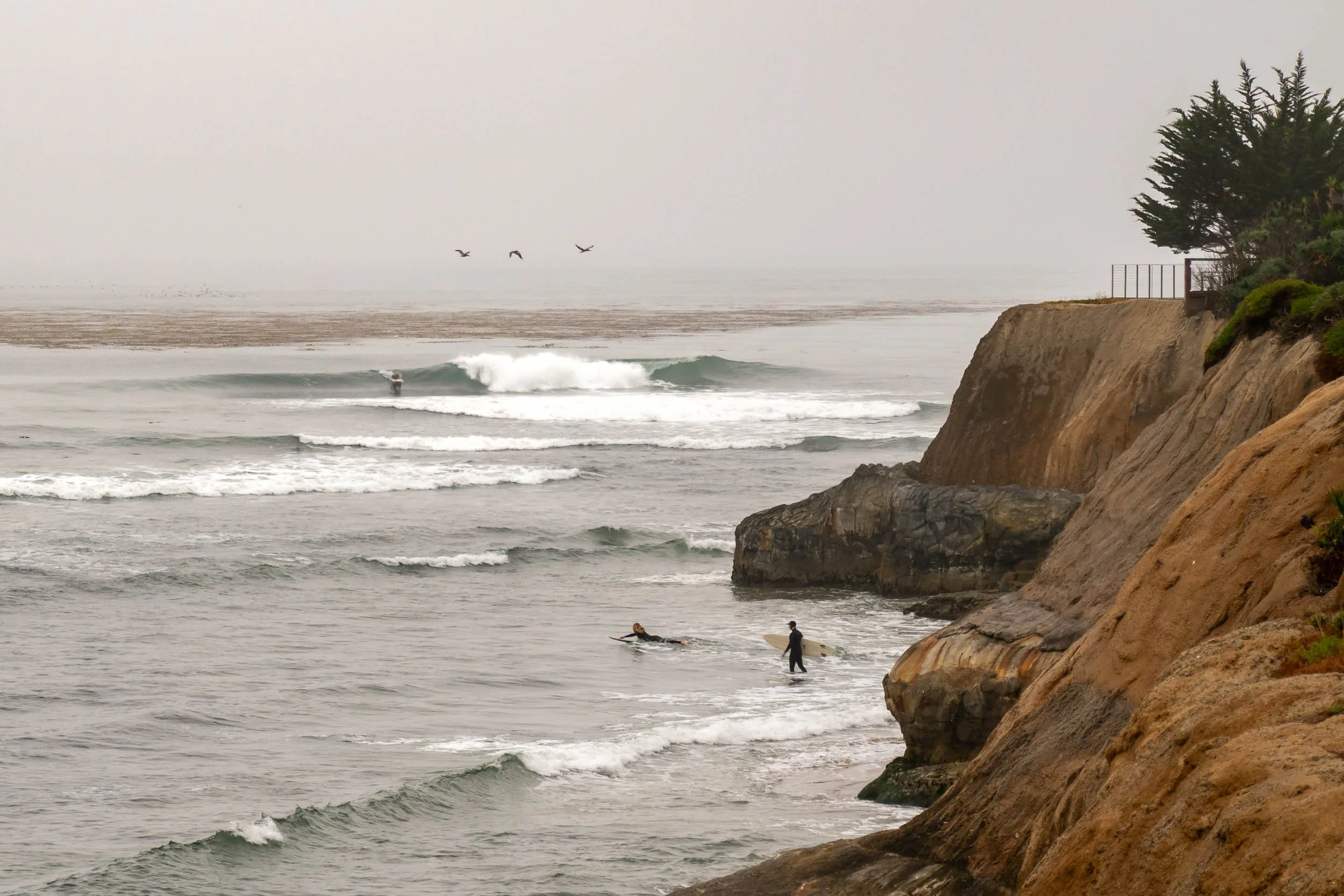 Pleasure Point-5.jpg