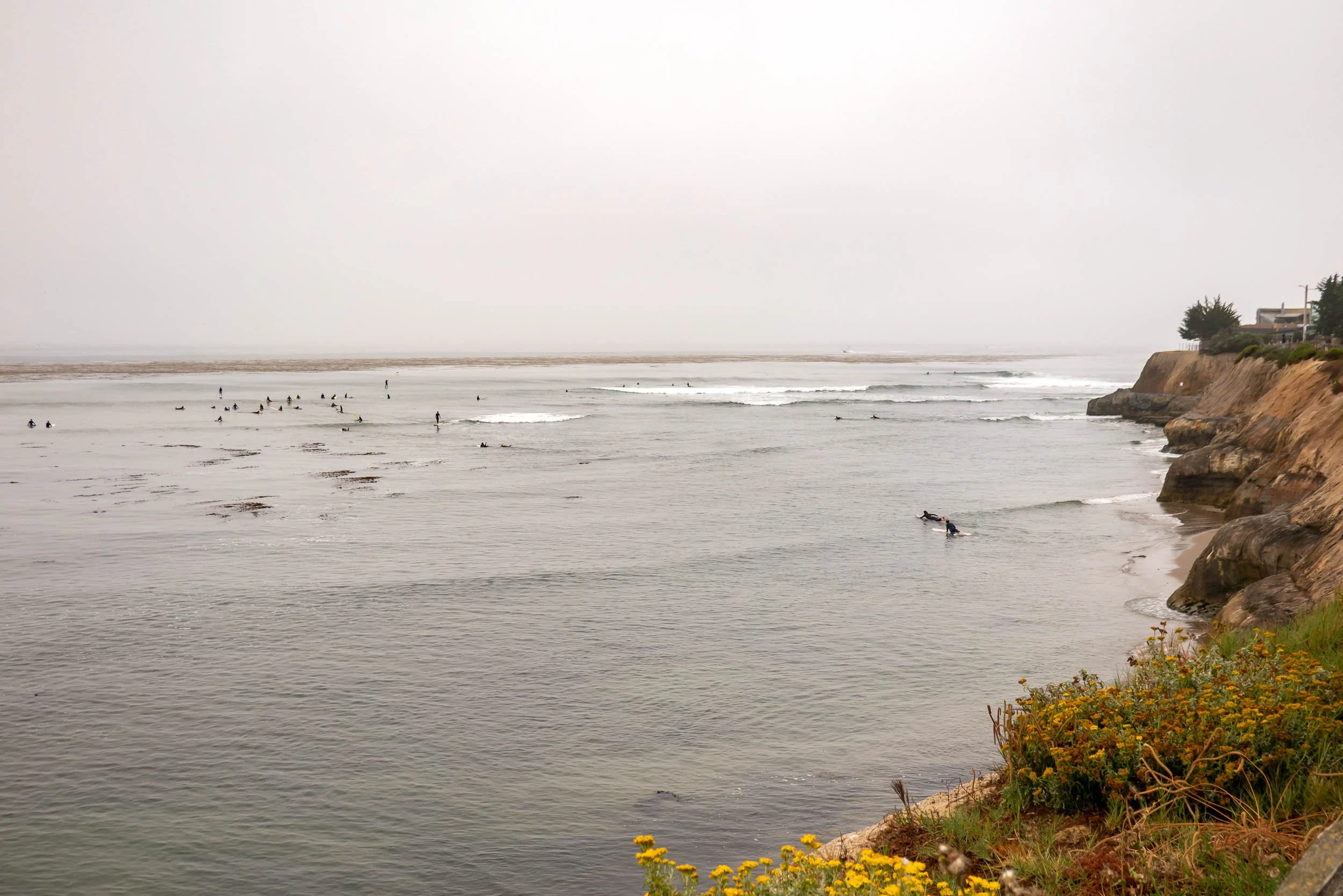 Pleasure Point-2.jpg