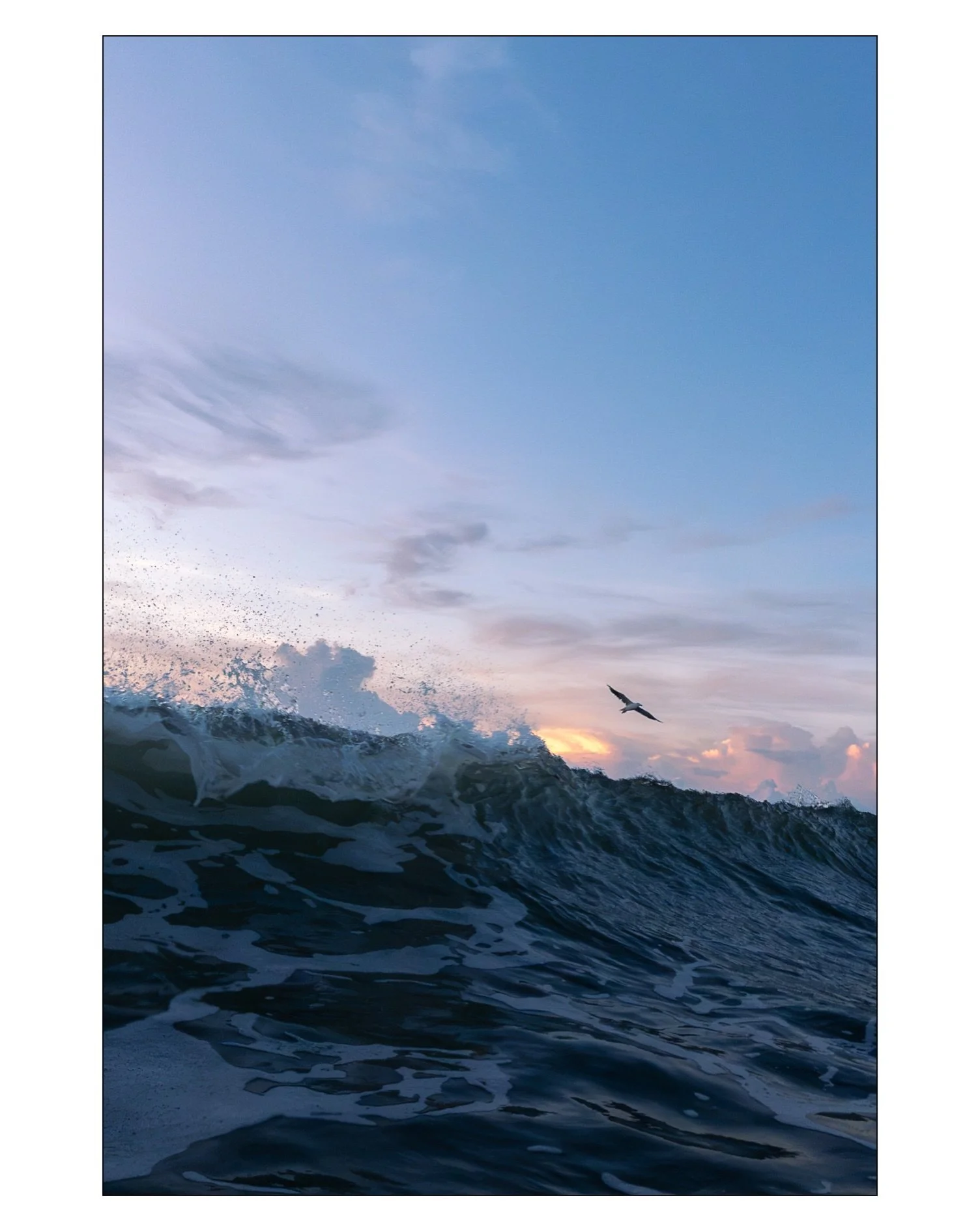 Endless Summer 🏖️

#capehatterasnationalseashore #outerbanksnc #obxmoments #latesummerdays