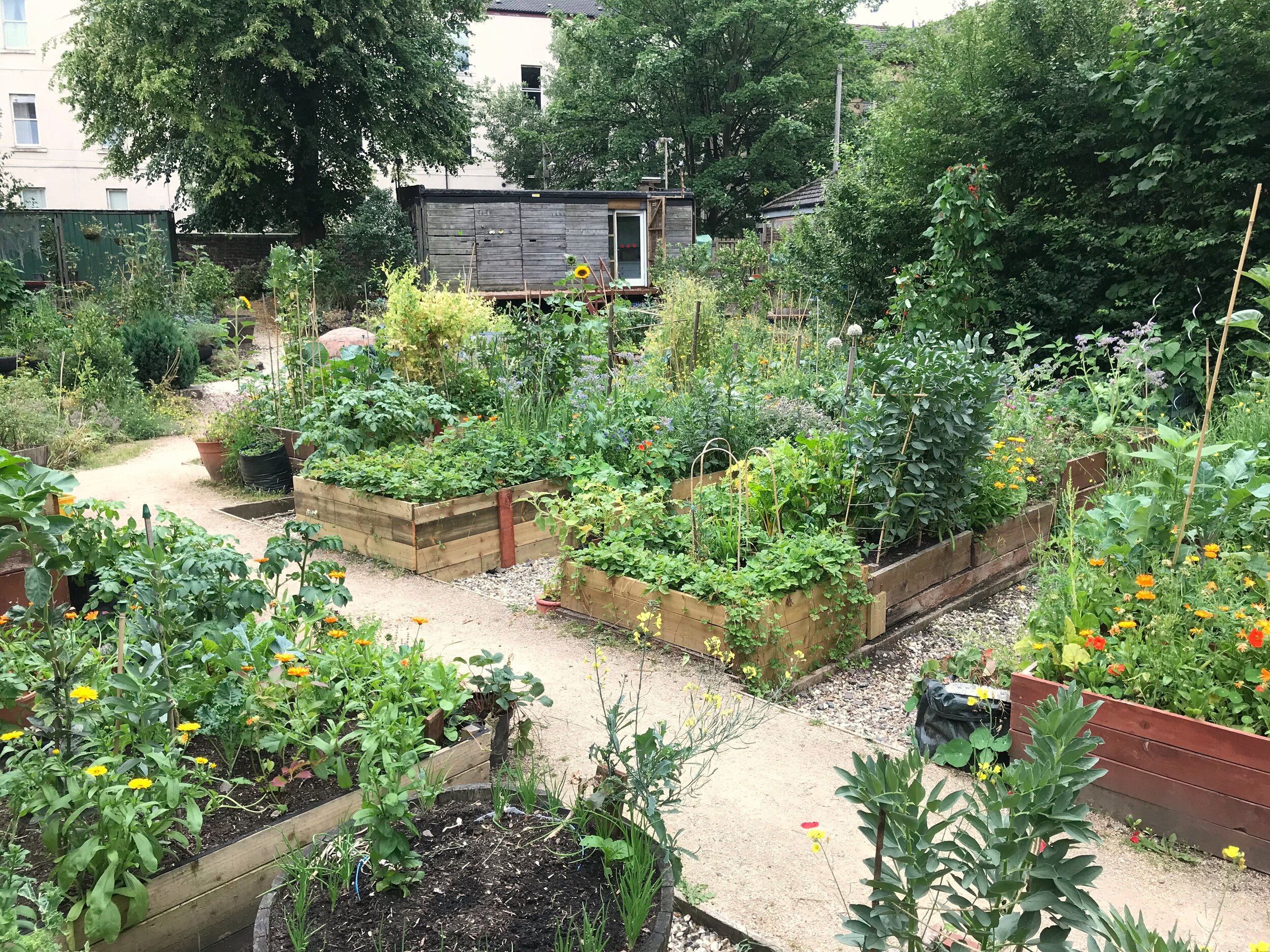 Community Garden