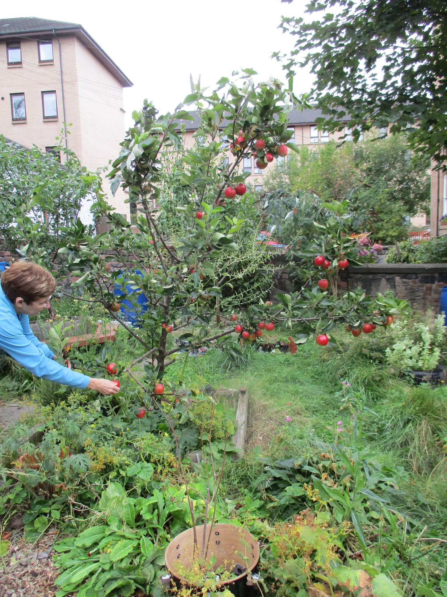 Esther and apple tree.jpeg