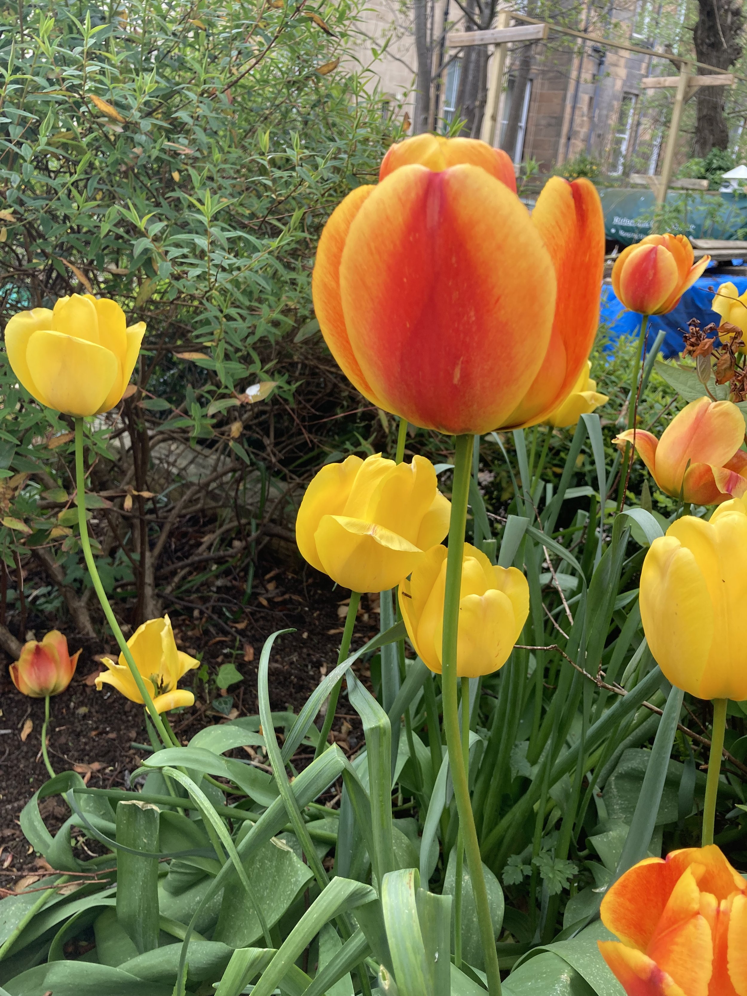 IMG_9276.jpeg