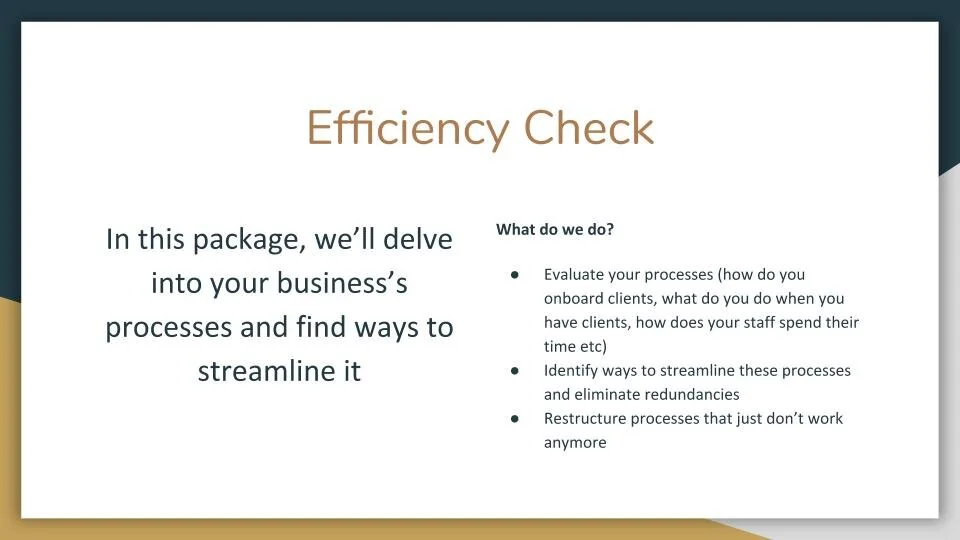 Efficiency Check Slide.jpg