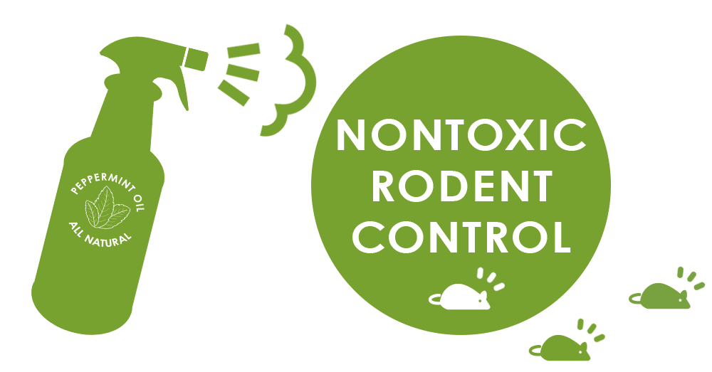 Nontoxic Rodent Control — Hungry Owl Project
