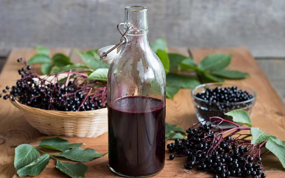 elderberry-small-1080x675.jpg