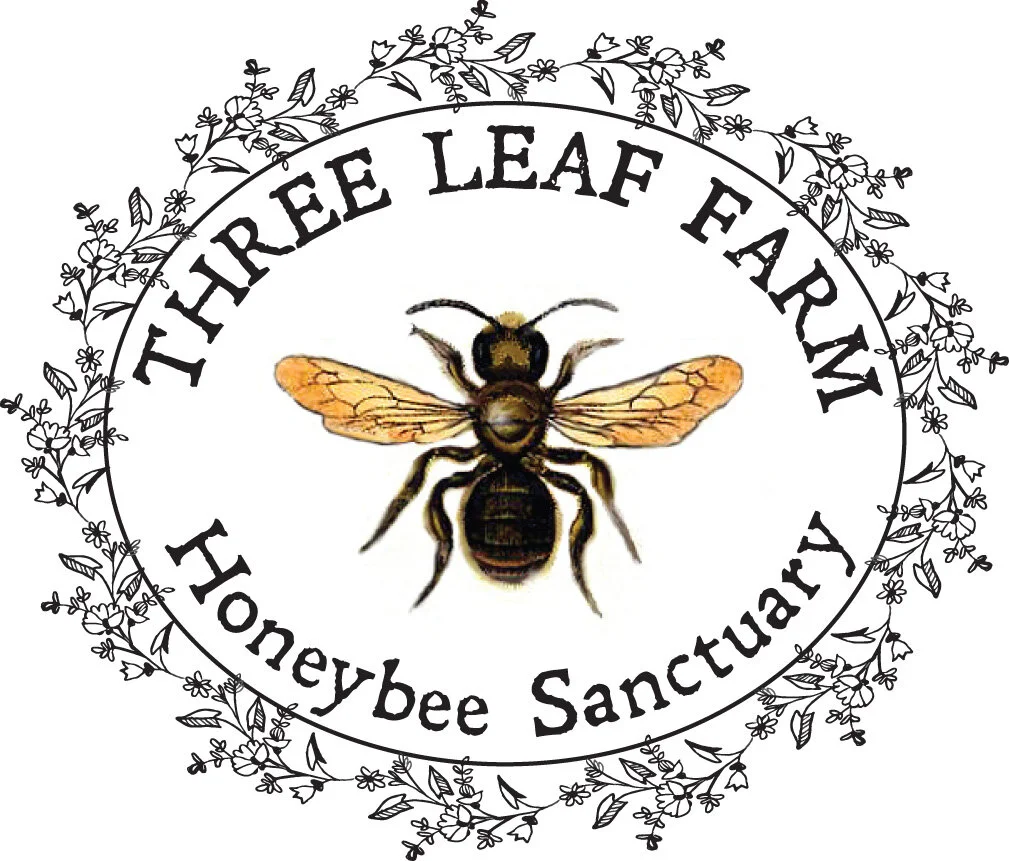 Honeybee Donation $50