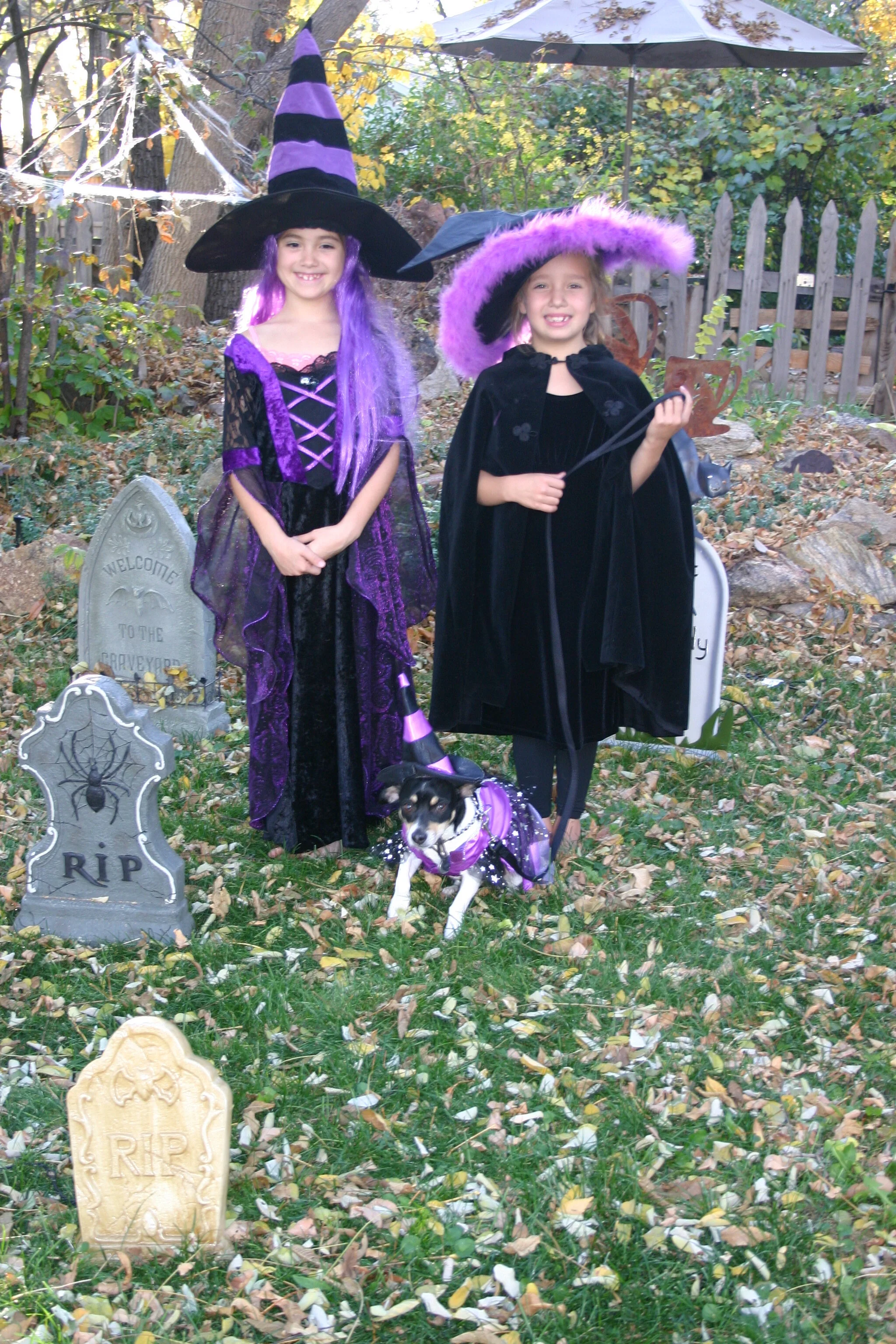 IMG_2746.JPG