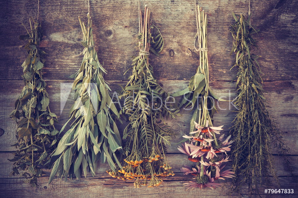 Private Workshop for Mary - Oct 30 DEPOSIT