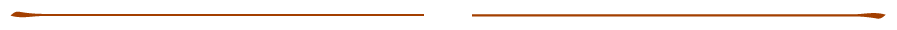 Subtle-Line-RUST.png
