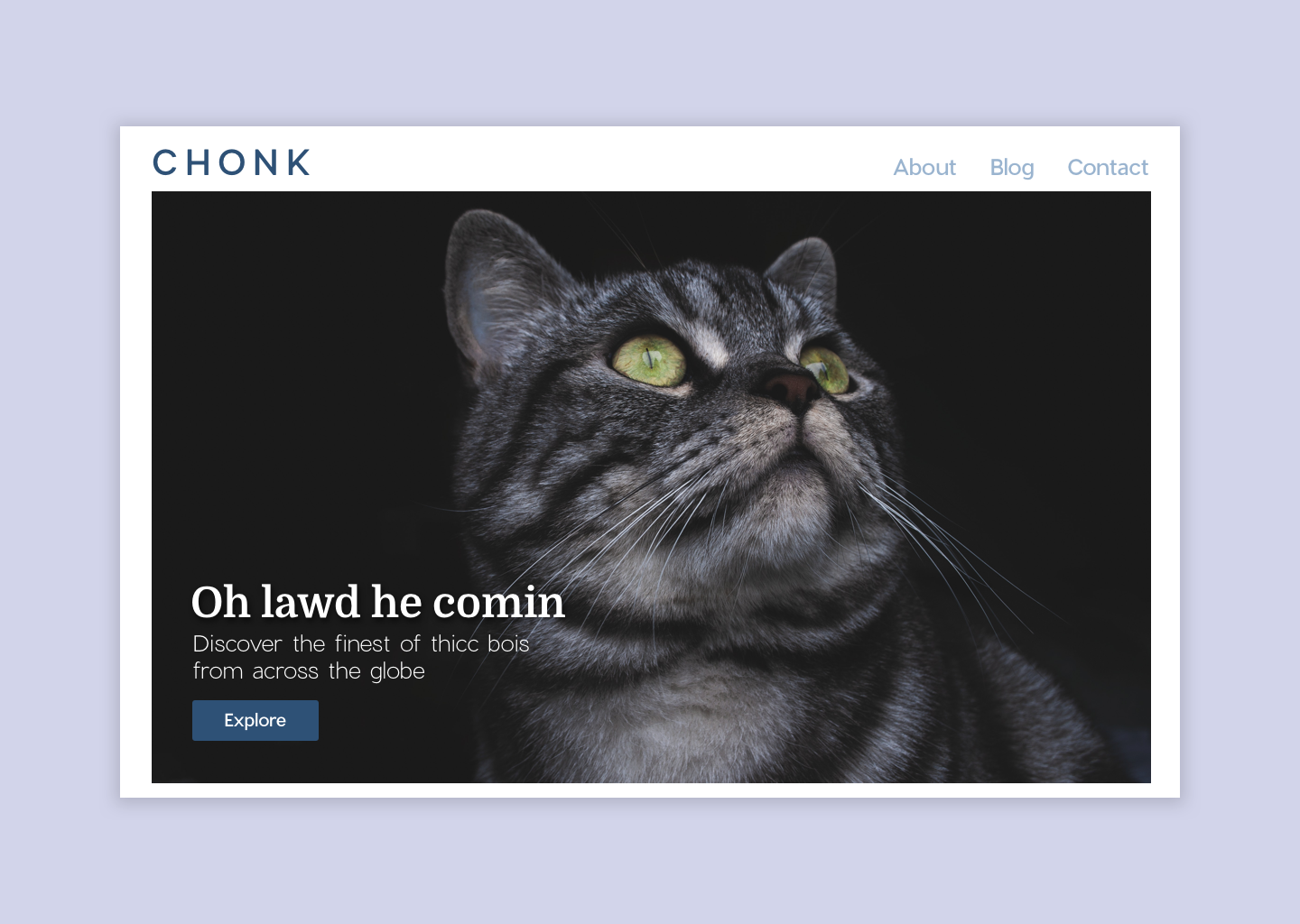 Day #003 - Landing Page