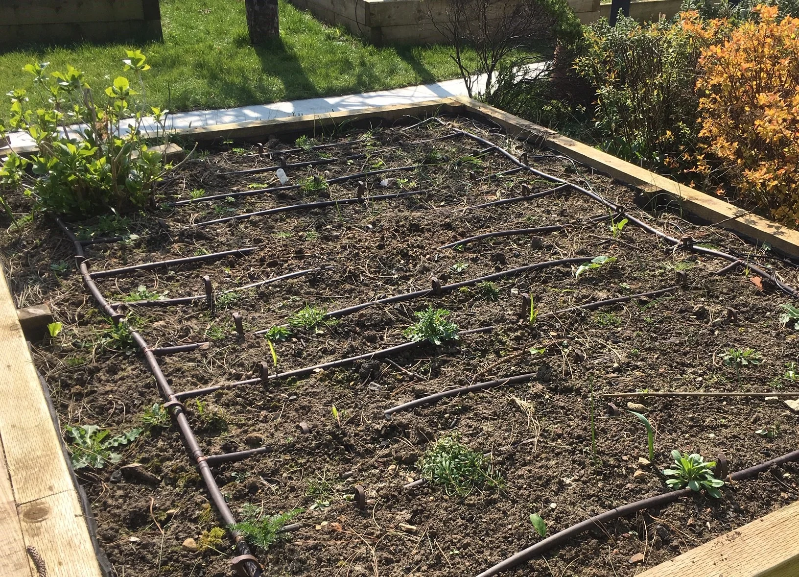 irrigation pic.jpg