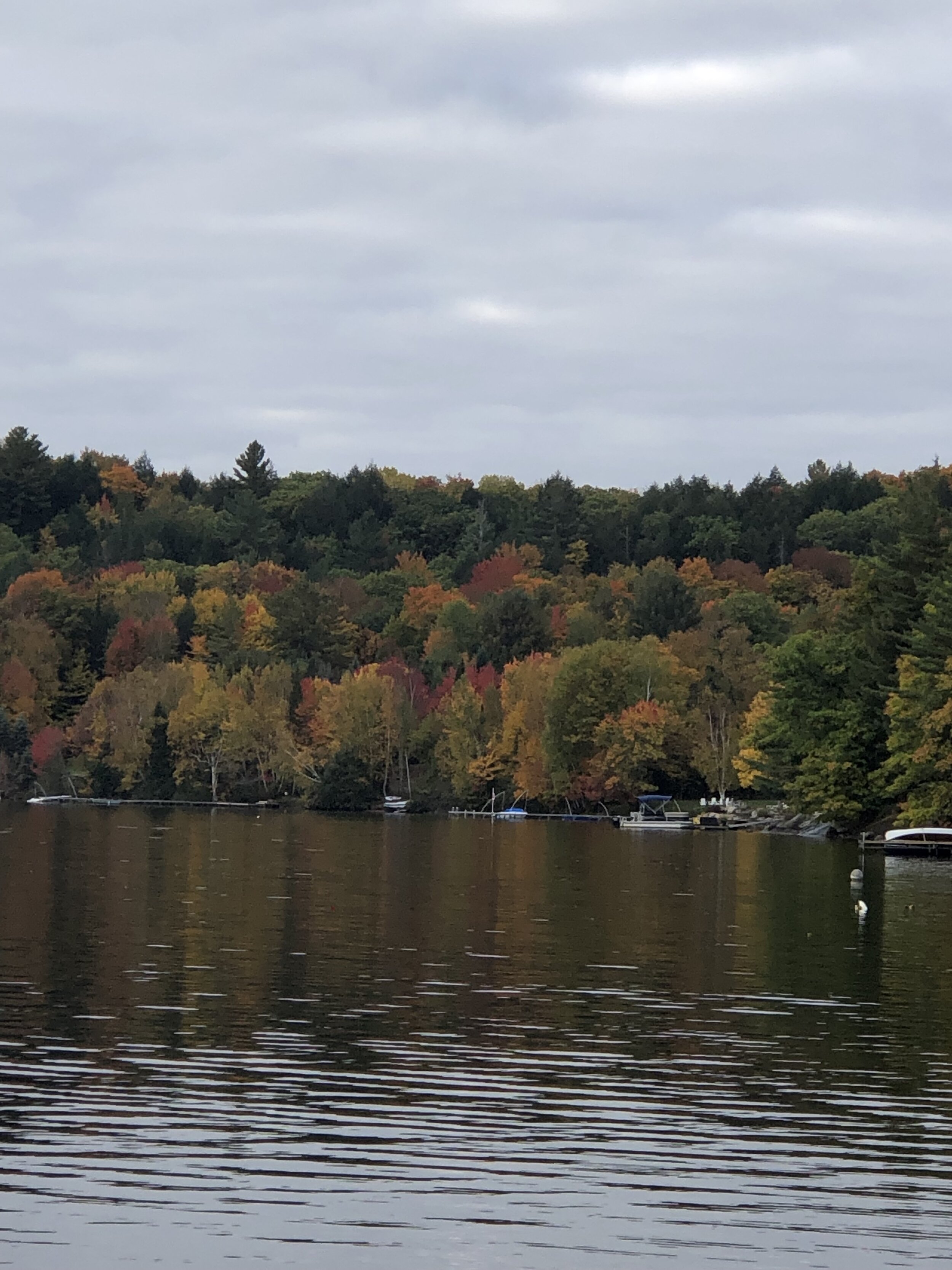 Fall Colours On The Lake 