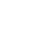 United_Nations 1.png