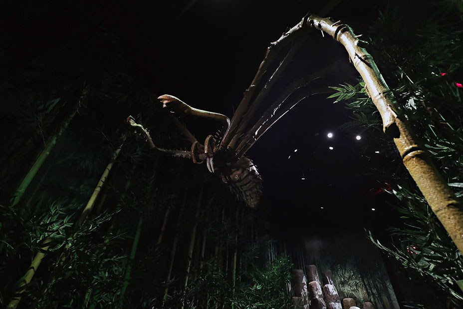 Kong: Skull Island fabricated giant tarantula
