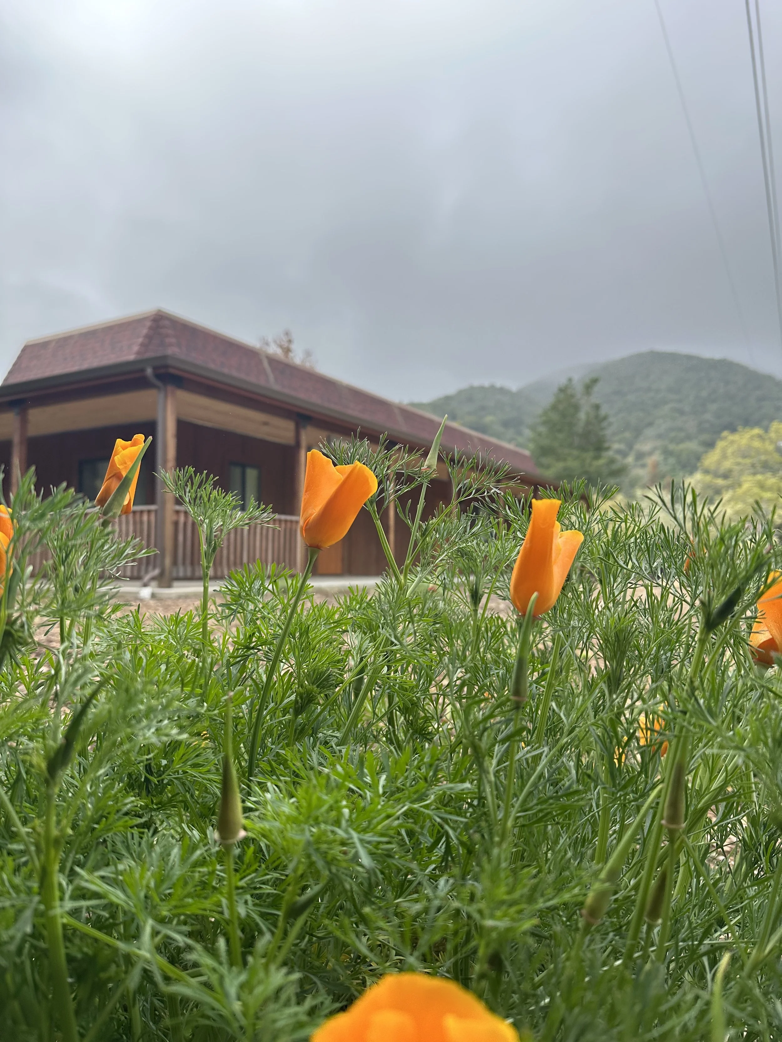 2024 Retreat — Northern California Writers' Retreat