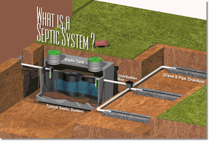 septic_system.gif
