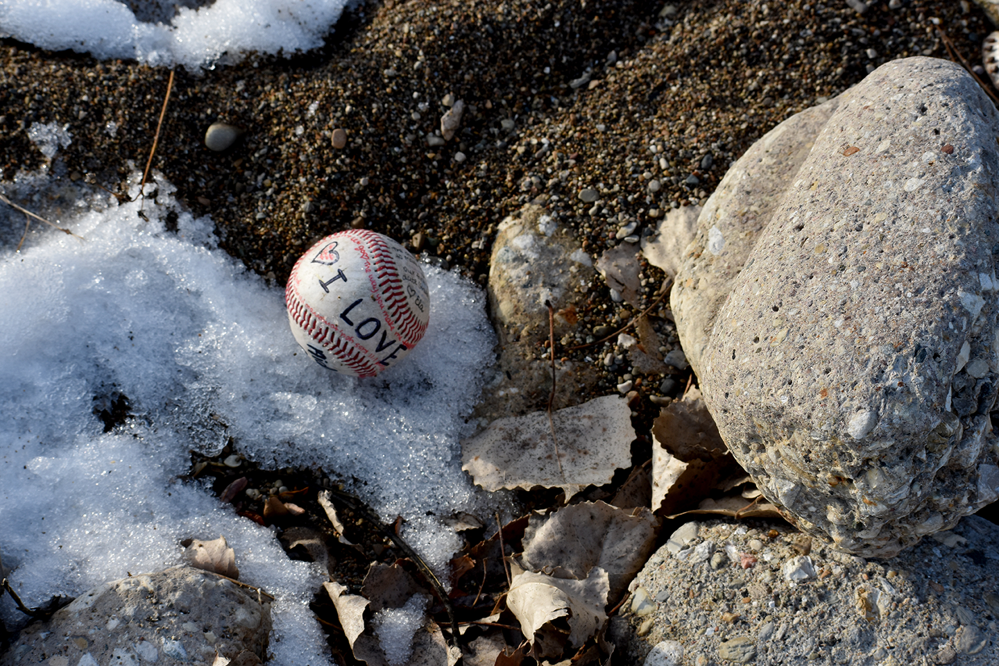 WebReady_PreProject 3.png