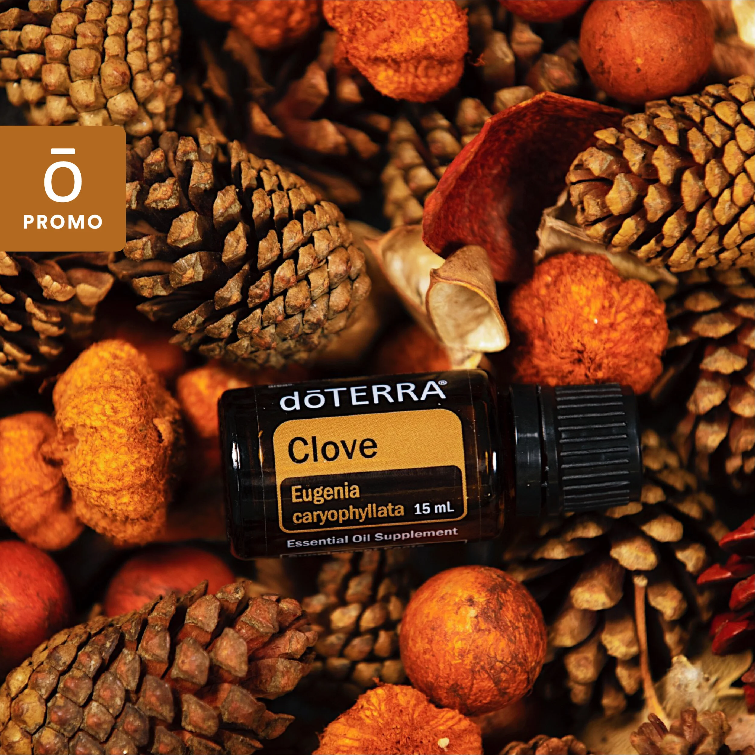 "Healthy Habits with Essential oils" 