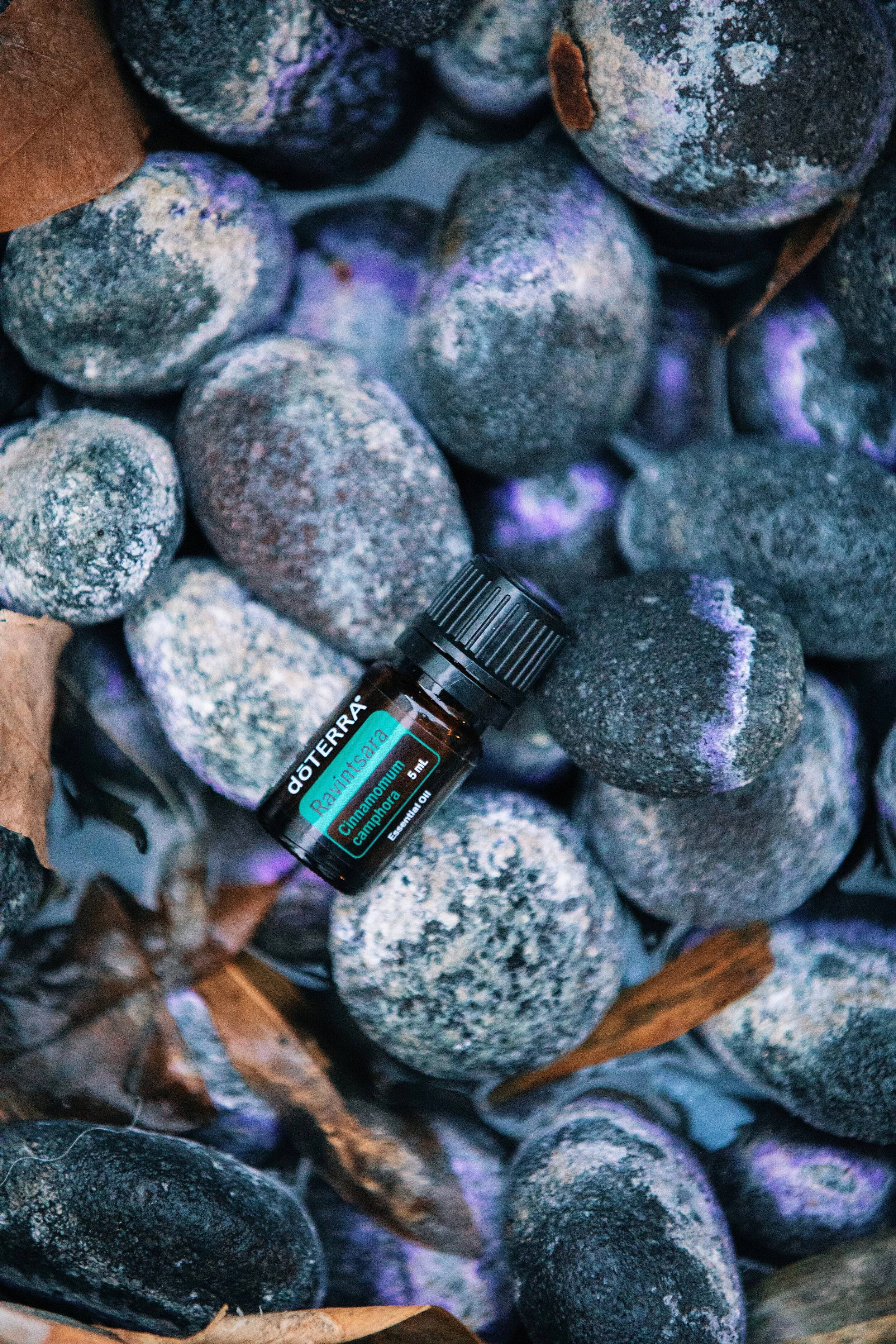 Essential Oils for Spring Cleaning and Respiratory Peace"