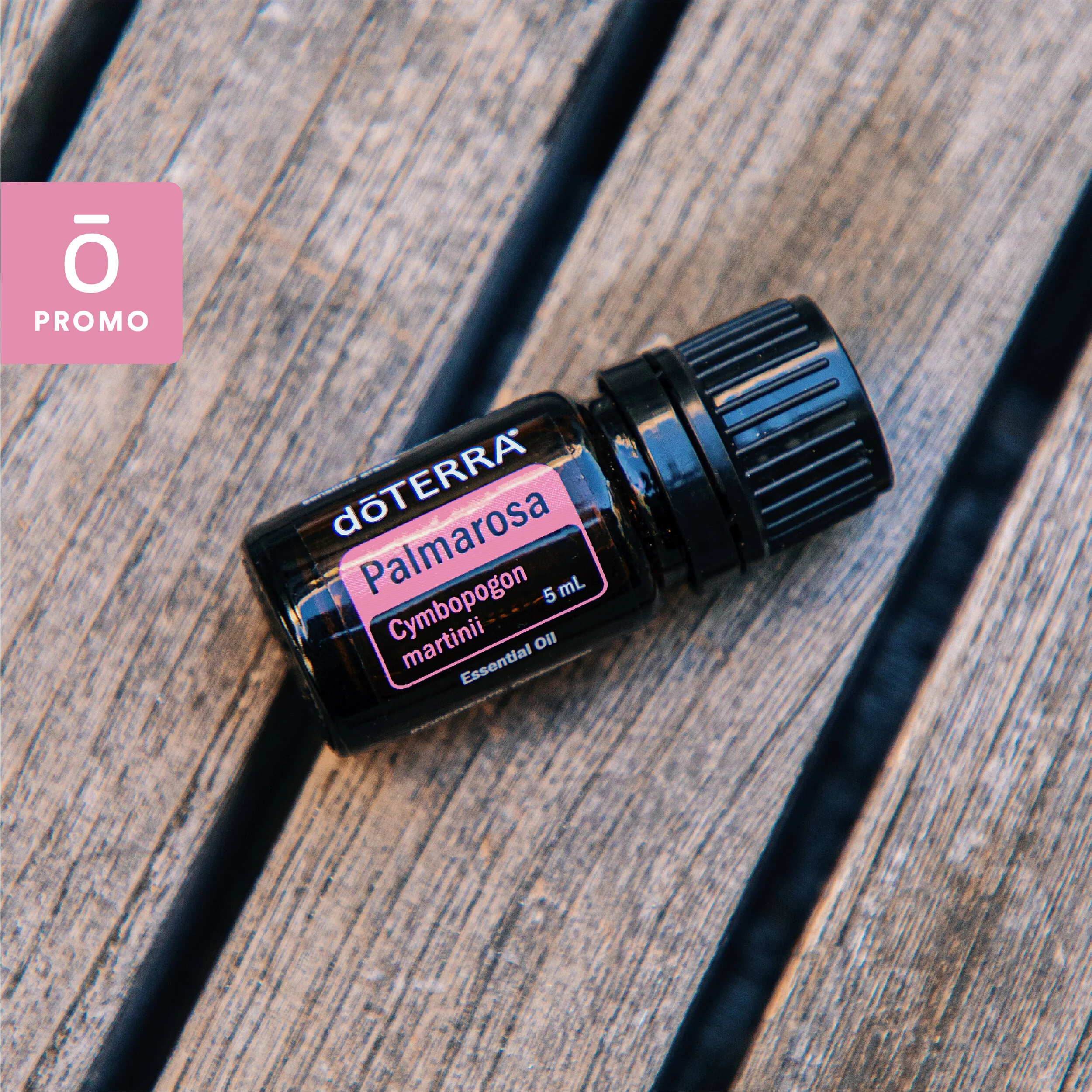 "Essential Oils for Discomfort, also CBD vs Copaiba" 